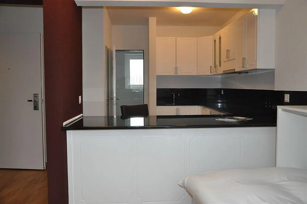 Residence Apartments By Hotel Du Commerce Basel