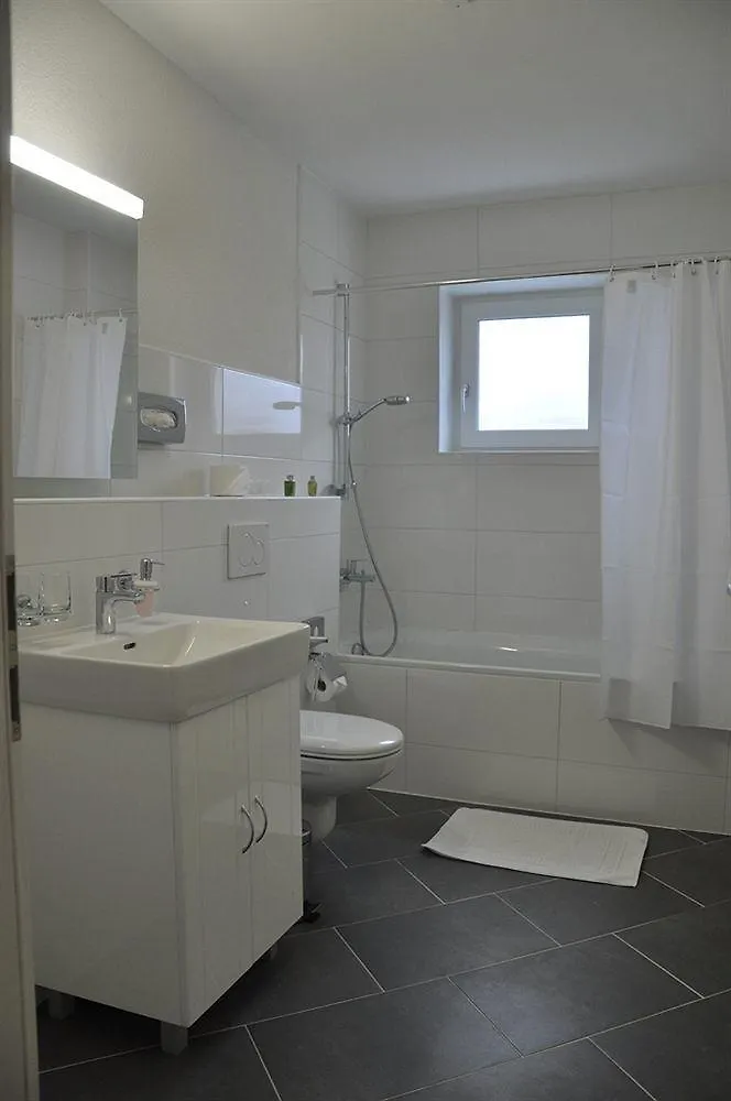 Residence Apartments By Hotel Du Commerce Basel
