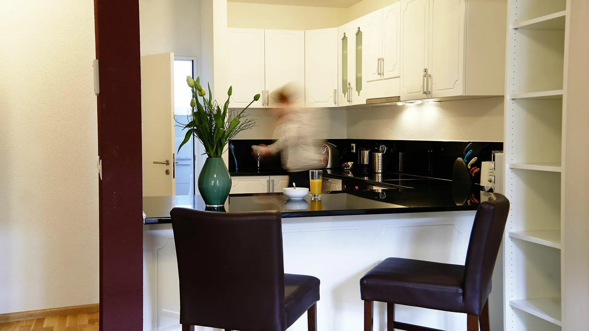 Residence Apartments By Hotel Du Commerce Basel 0*,